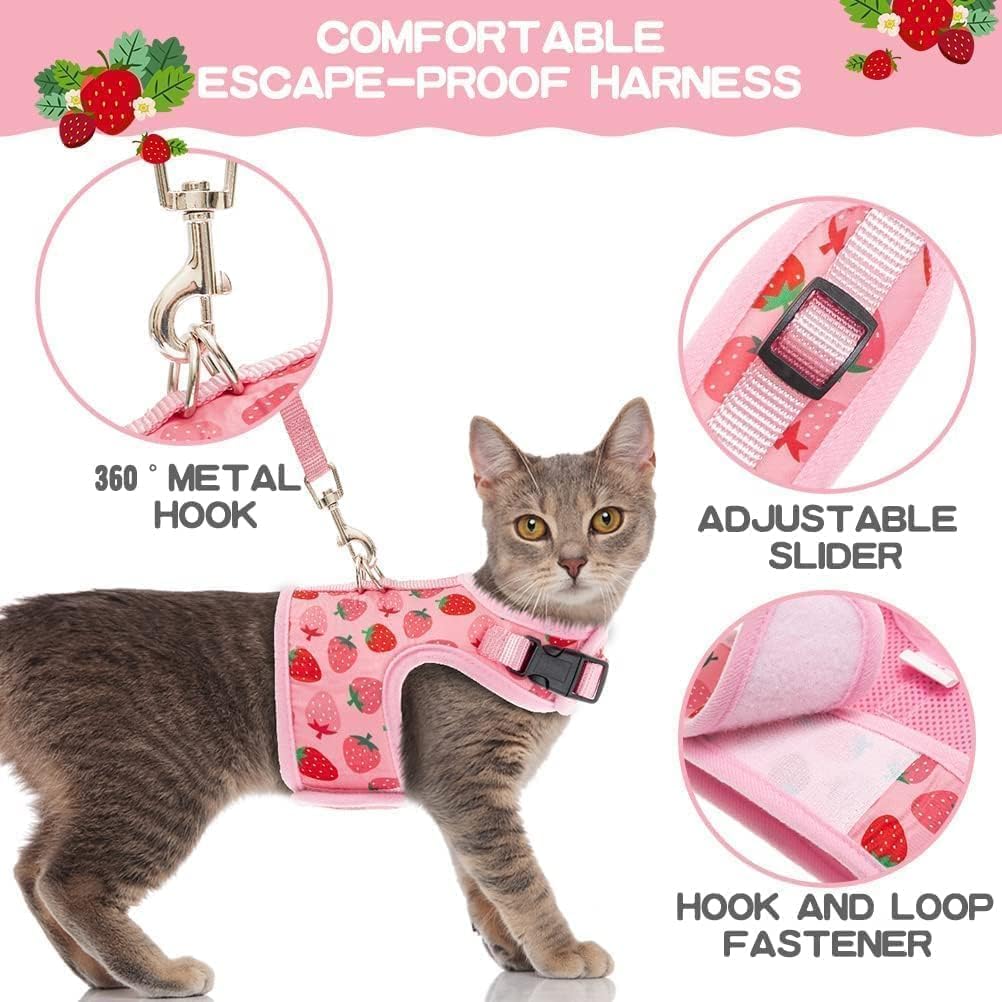 Diseño transpirable de BINGPET, comodidad durante paseos prolongados.