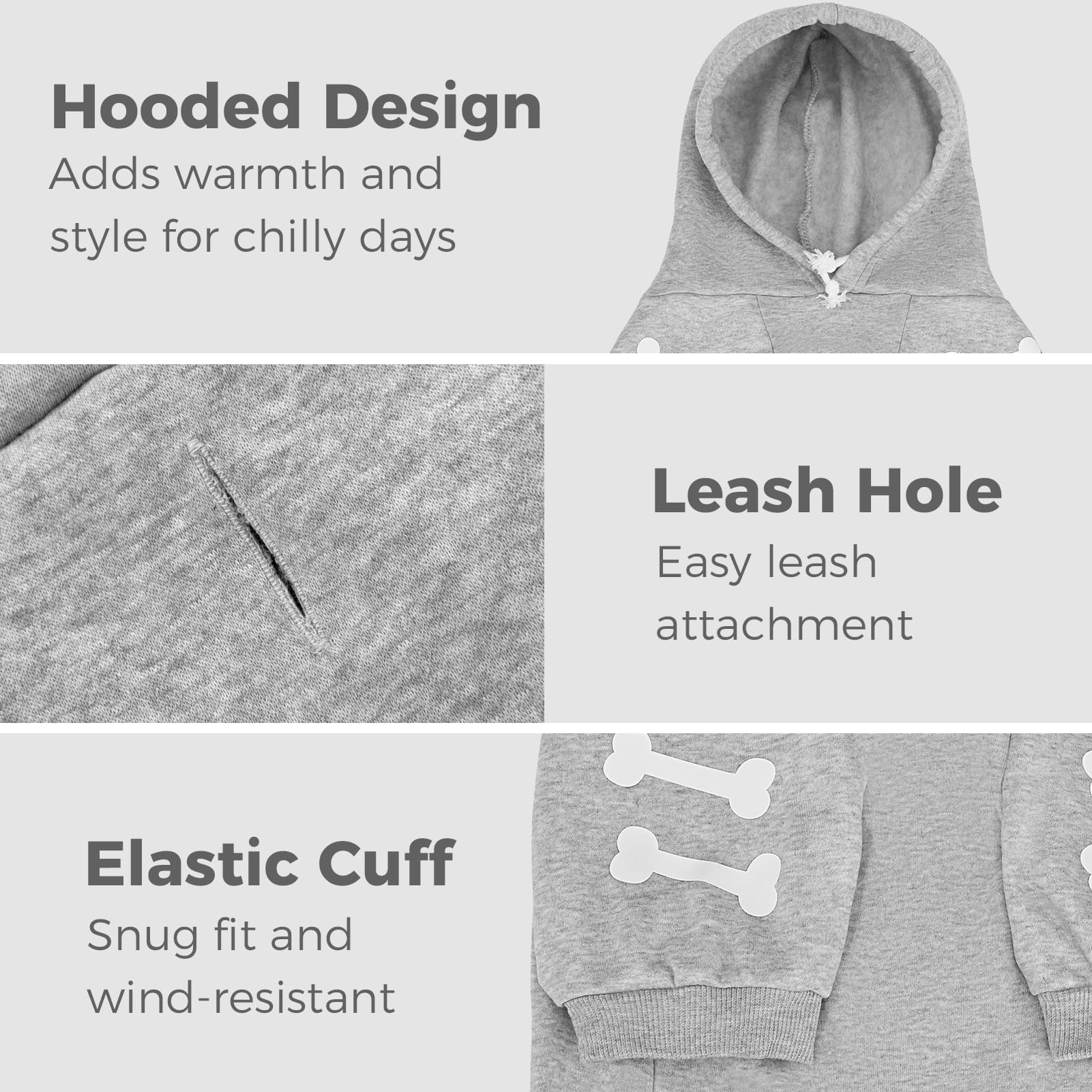 BINGPET Bad to the Bone sweater worn by a dog during outdoor strolls