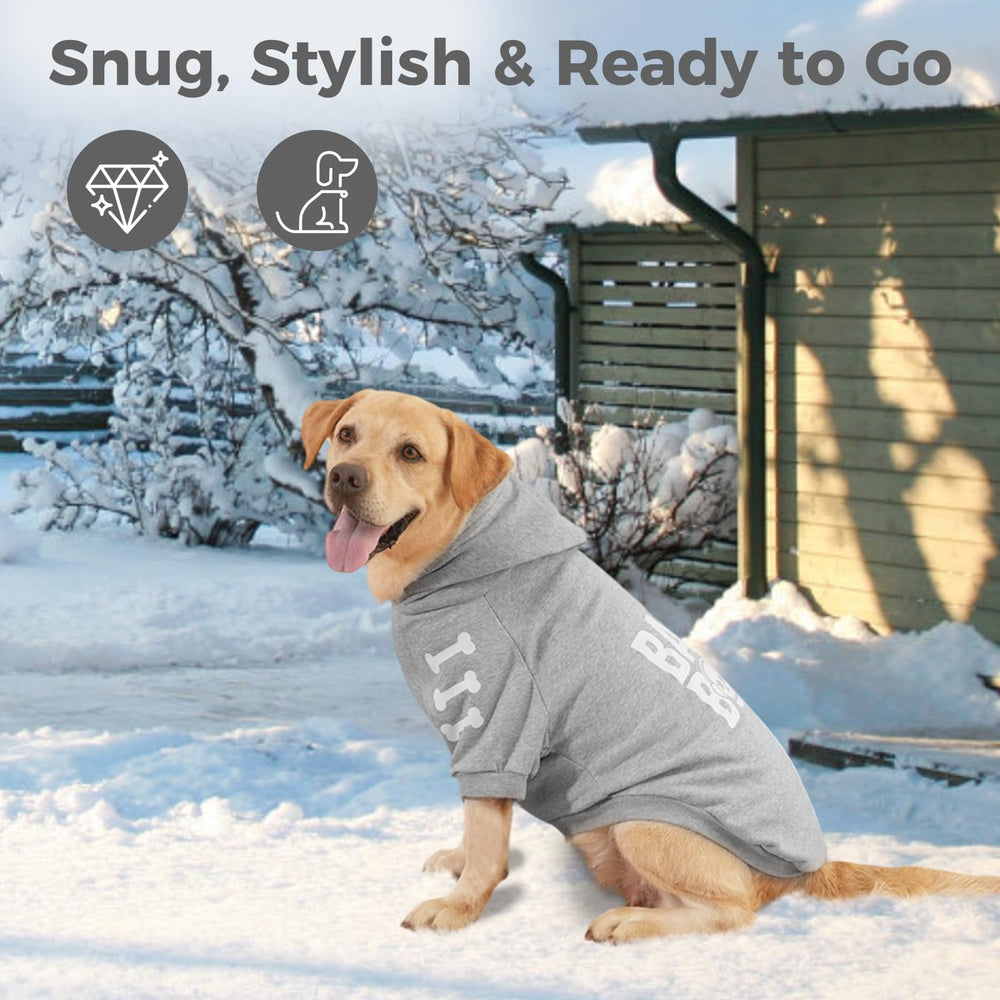 BINGPET Bad to the Bone hoodie with leash hole ready for easy daily wear