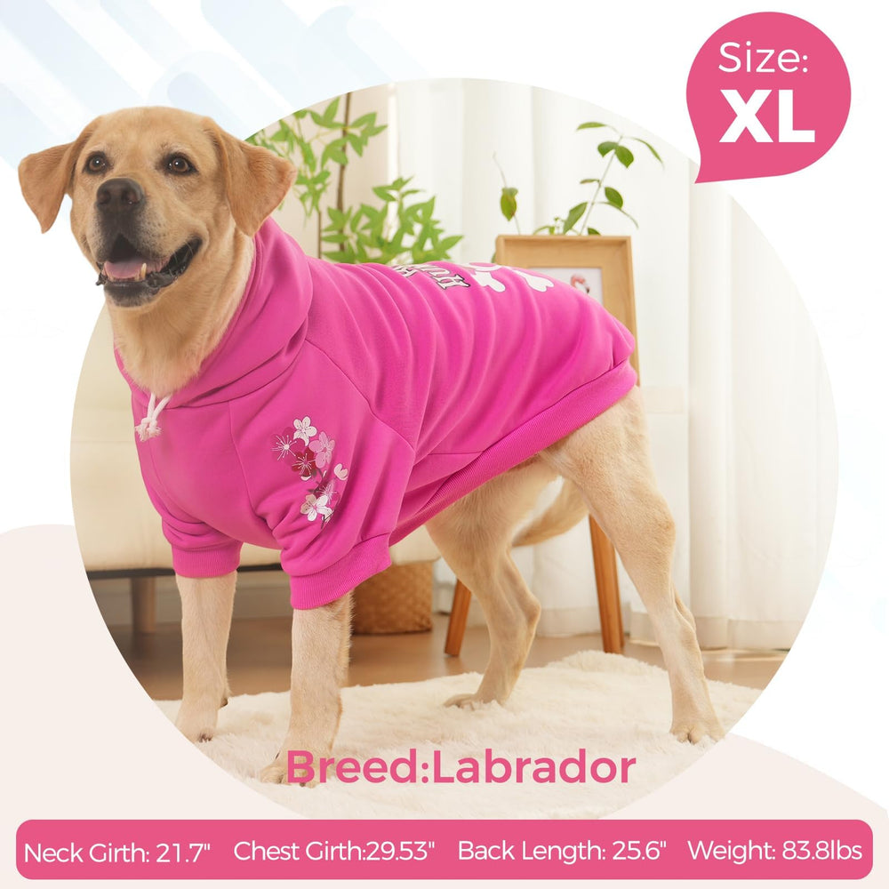 BINGPET Bone Hunter back-detail emphasizes durable glued-press letters for long-lasting style.