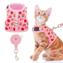 BINGPET cat harness with breathable mesh keeps cats cool on outdoor walks.
