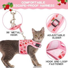 BINGPET cat harness double D-ring leash area offers sturdy attachment.