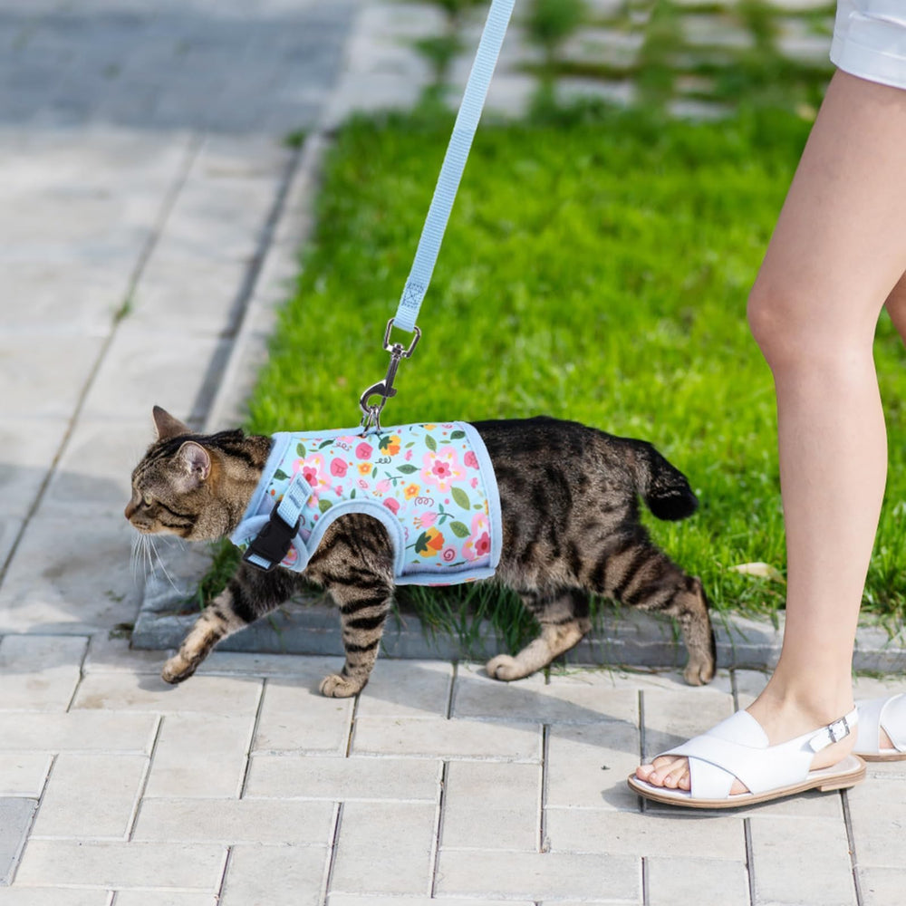 BINGPET cat-harness-size-chart shows precise neck and chest measurements for proper fit.