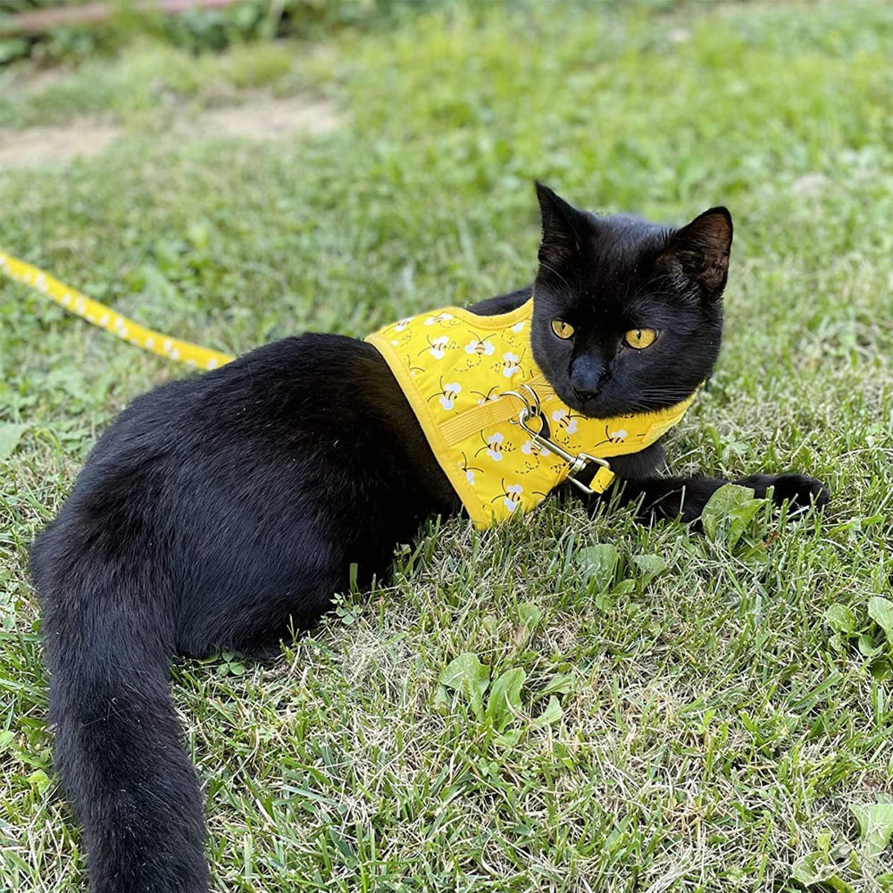 BINGPET cat harness yellow nylon fabric highlighting visible bee theme