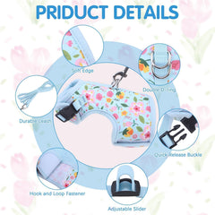 BINGPET cat-walk-outdoors-setup shows safe outdoor exploration with escape-proof design.