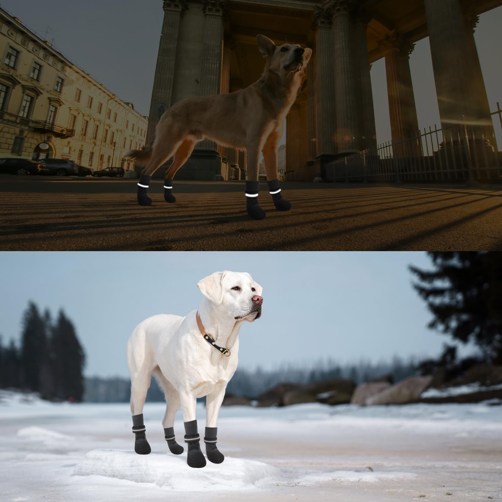 BINGPET dog boots with reflective trim for night visibility