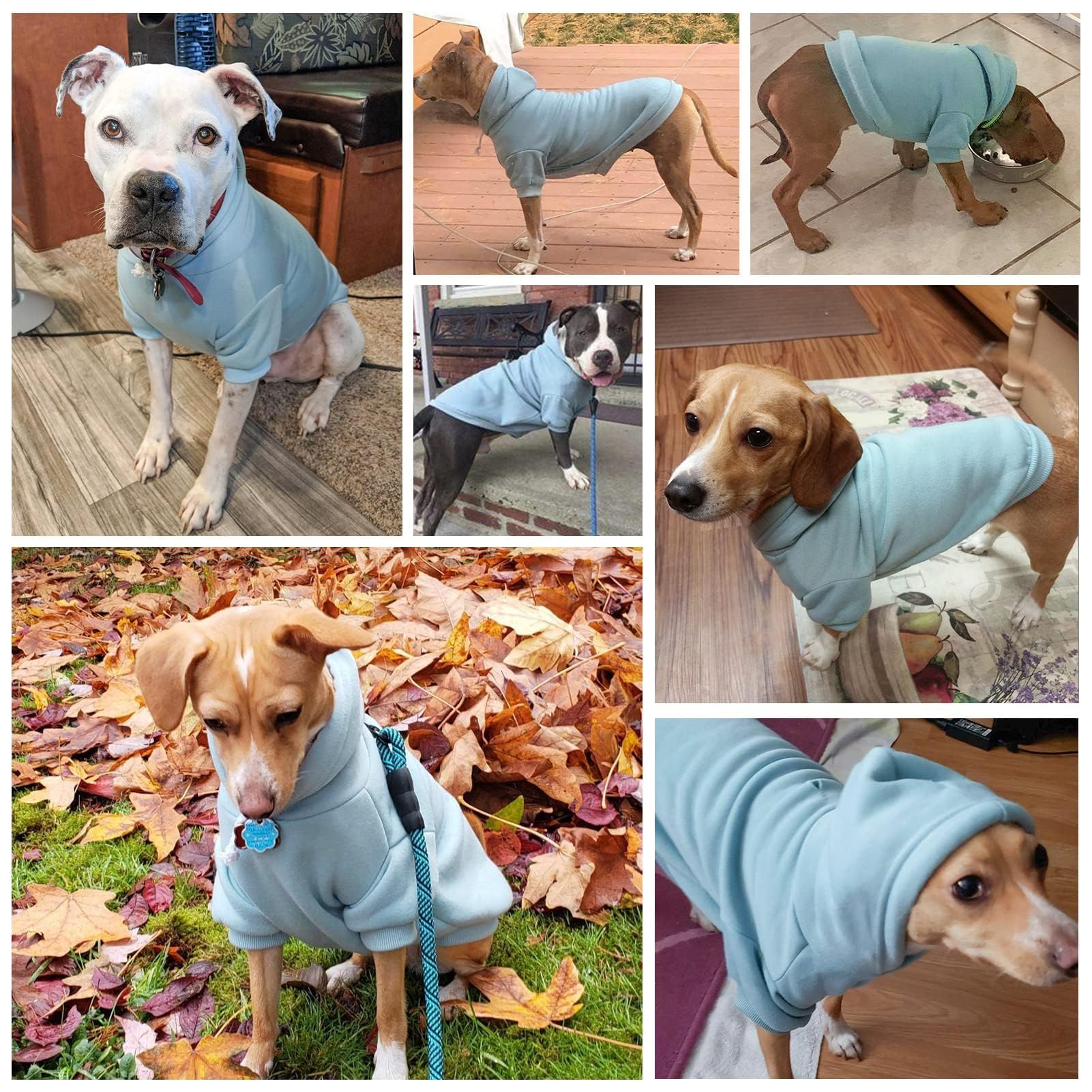 BINGPET dog hoodie care label indicates machine washable convenience.