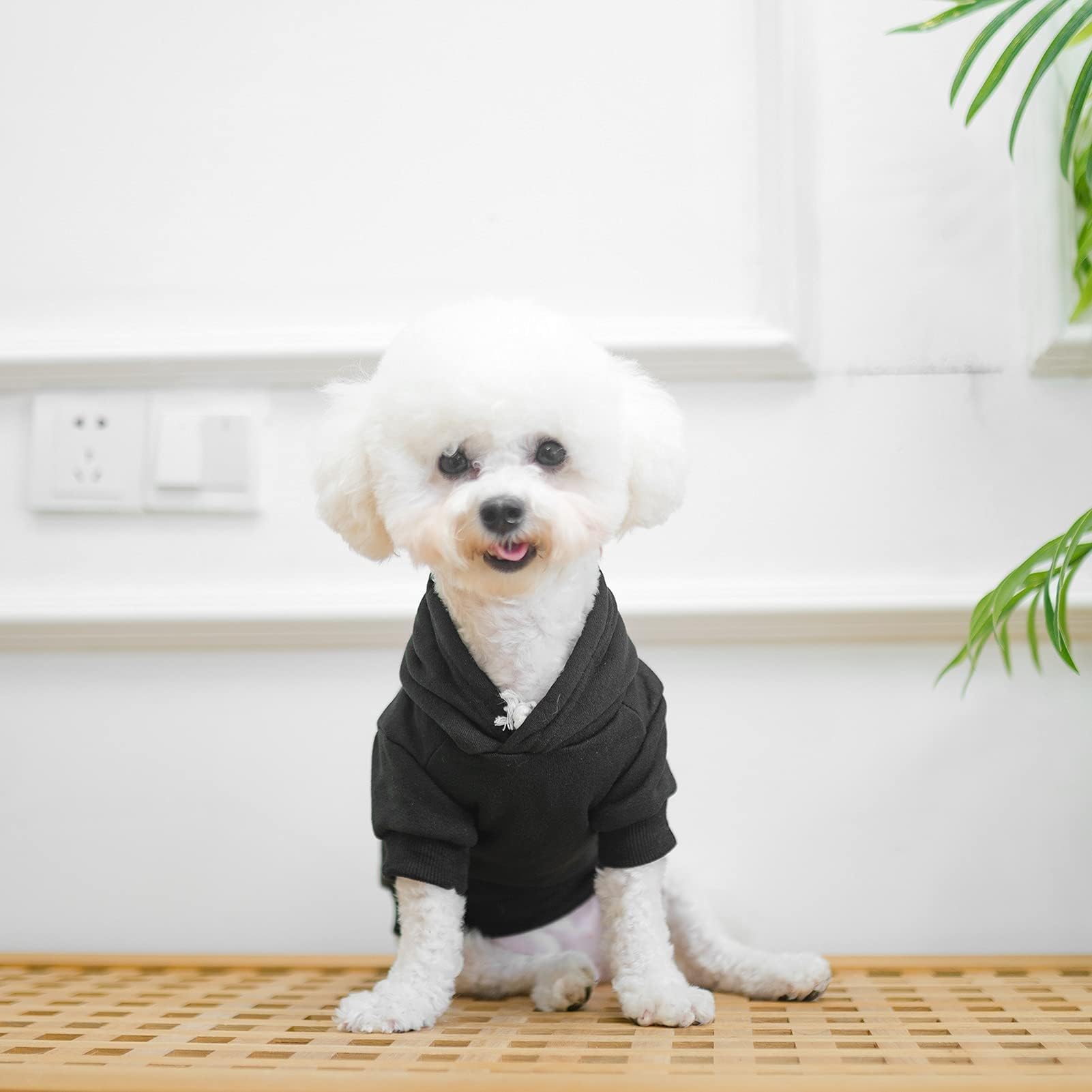 BINGPET dog hoodie fabric texture conveys warmth and durability