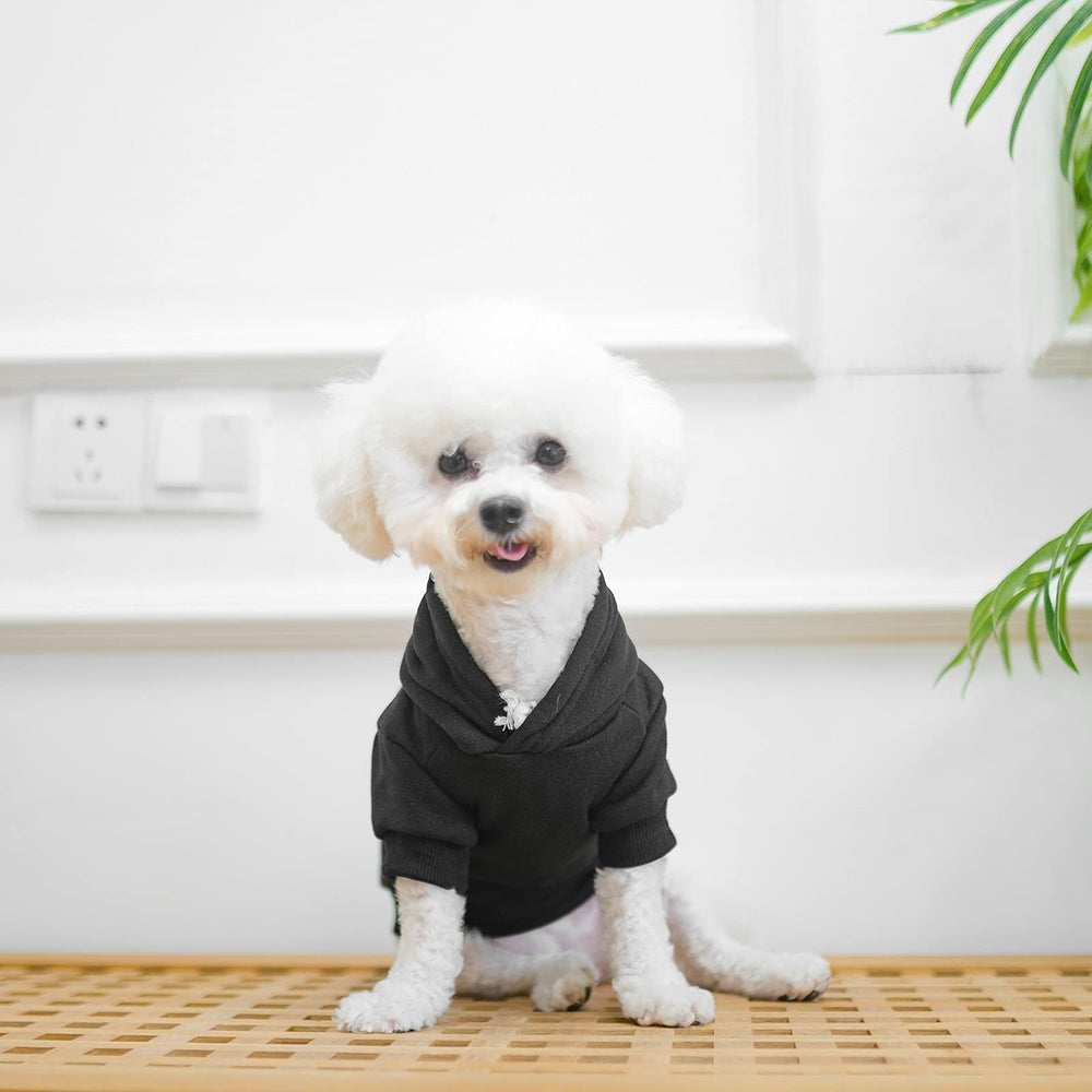 BINGPET dog hoodie fabric texture conveys warmth and durability