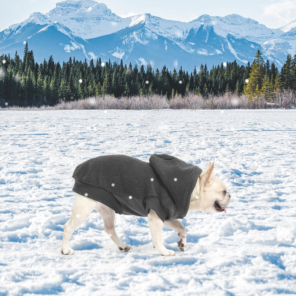 BINGPET dog hoodie gray on dog during walk offers stylish warmth outdoors