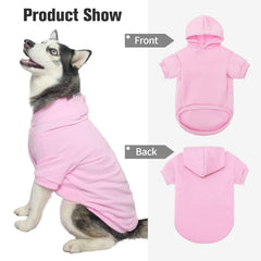 BINGPET dog hoodie on a puppy demonstrates warmth during outdoor play.