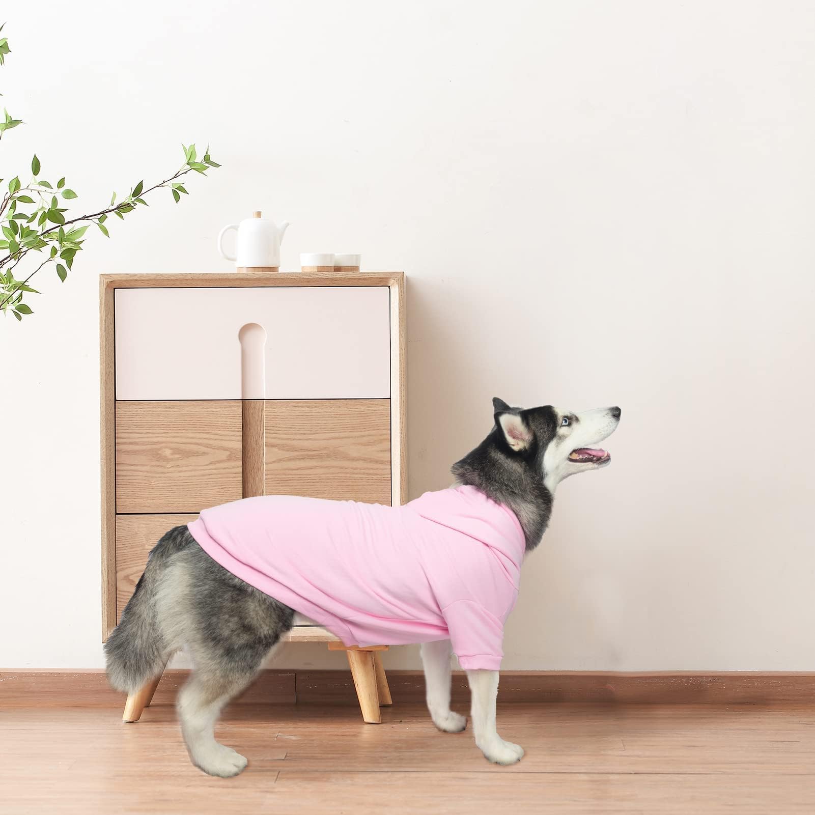 BINGPET dog hoodie pullover design illustrates easy on/off for pets.