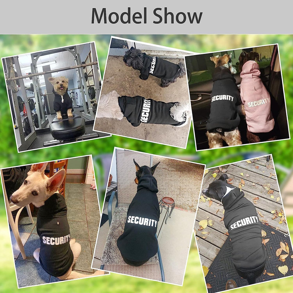 BINGPET dog hoodie size chart overview, helps find the right fit.