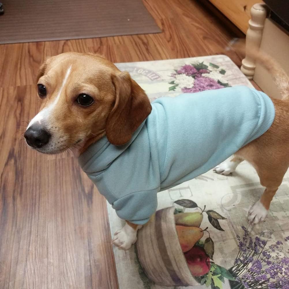 BINGPET dog hoodie first wash tips protect fabric and maintain fit.