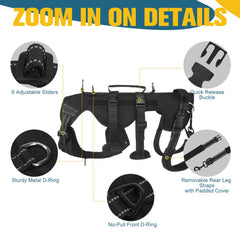 BINGPET lift harness demonstrates full-body support for large dogs.