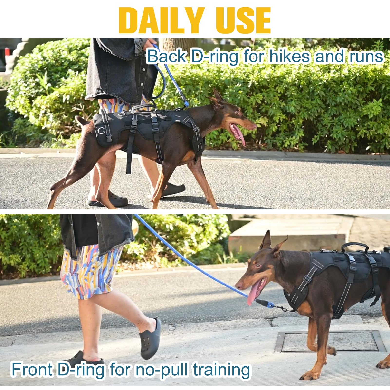 BINGPET harness shows padded leg straps reducing friction during movement.
