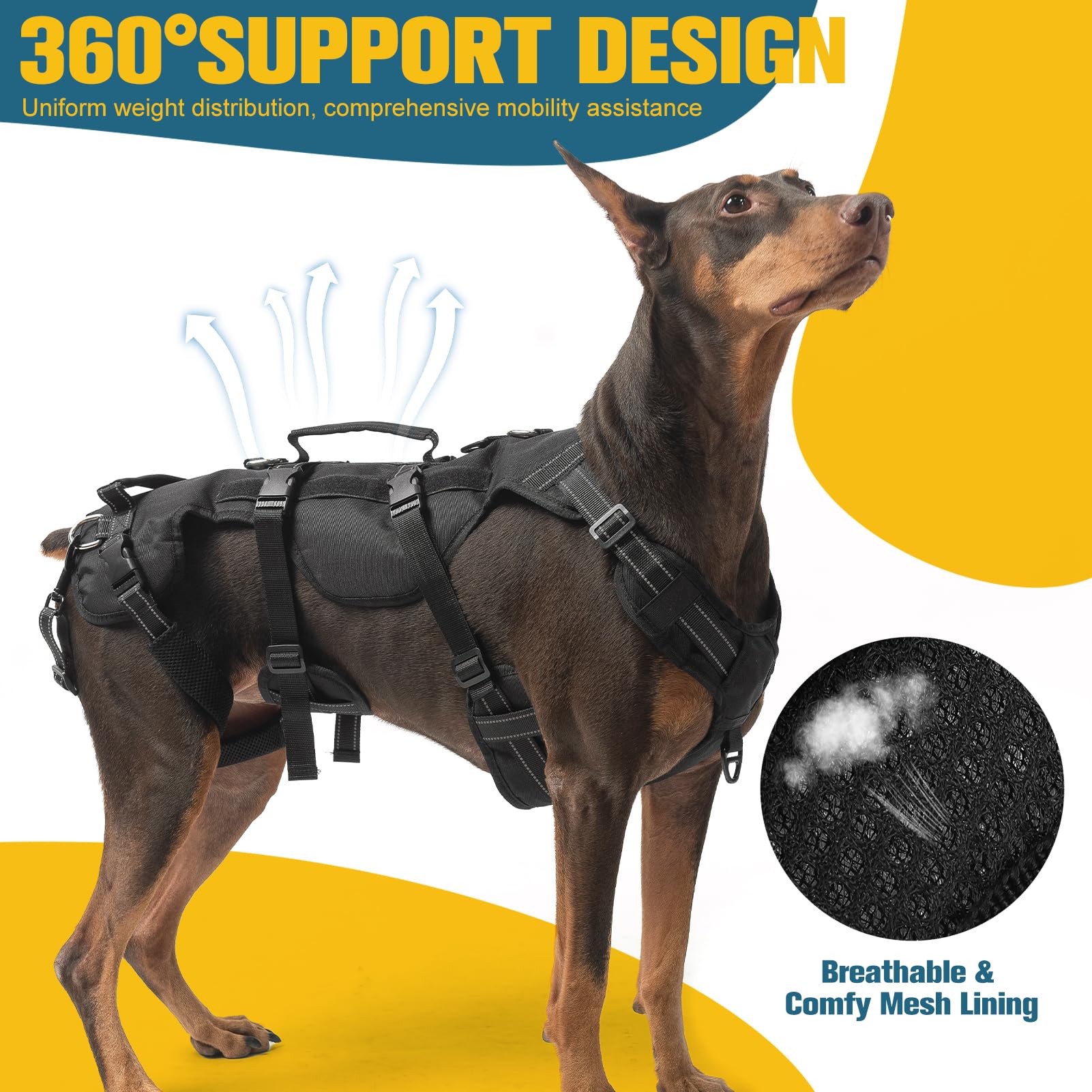 BINGPET harness features reflective straps for safer night walks.