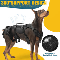 BINGPET harness features reflective straps for safer night walks.