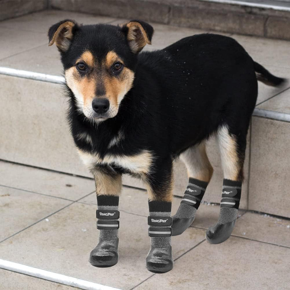 BINGPET dog socks breathable-material keeping paws comfortable in all seasons.