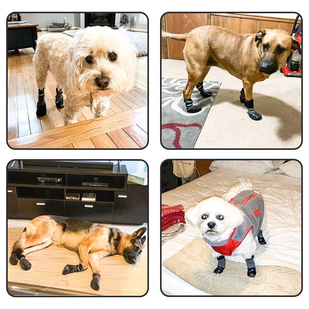 BINGPET dog socks on-paw-walking demonstration for outdoor use.
