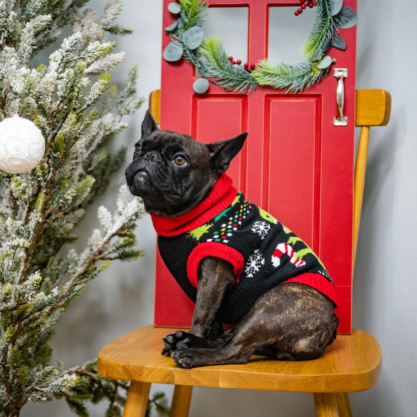 BINGPET dog sweater with back leash hole for secure, stylish walks.