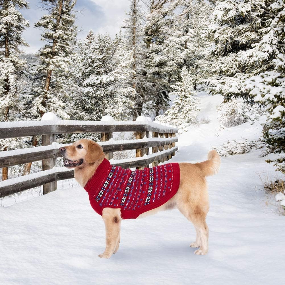 BINGPET elastic knit provides comfortable movement during walks