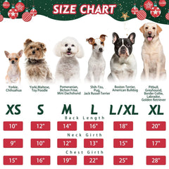 BINGPET dog sweater with holiday turtleneck and green dinosaur print for festive seasonal walks.