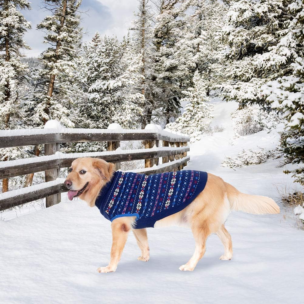 BINGPET dog sweater photo-ready winter look for celebrations