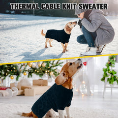 BINGPET dog sweater raglan sleeves close-up highlights comfortable movement