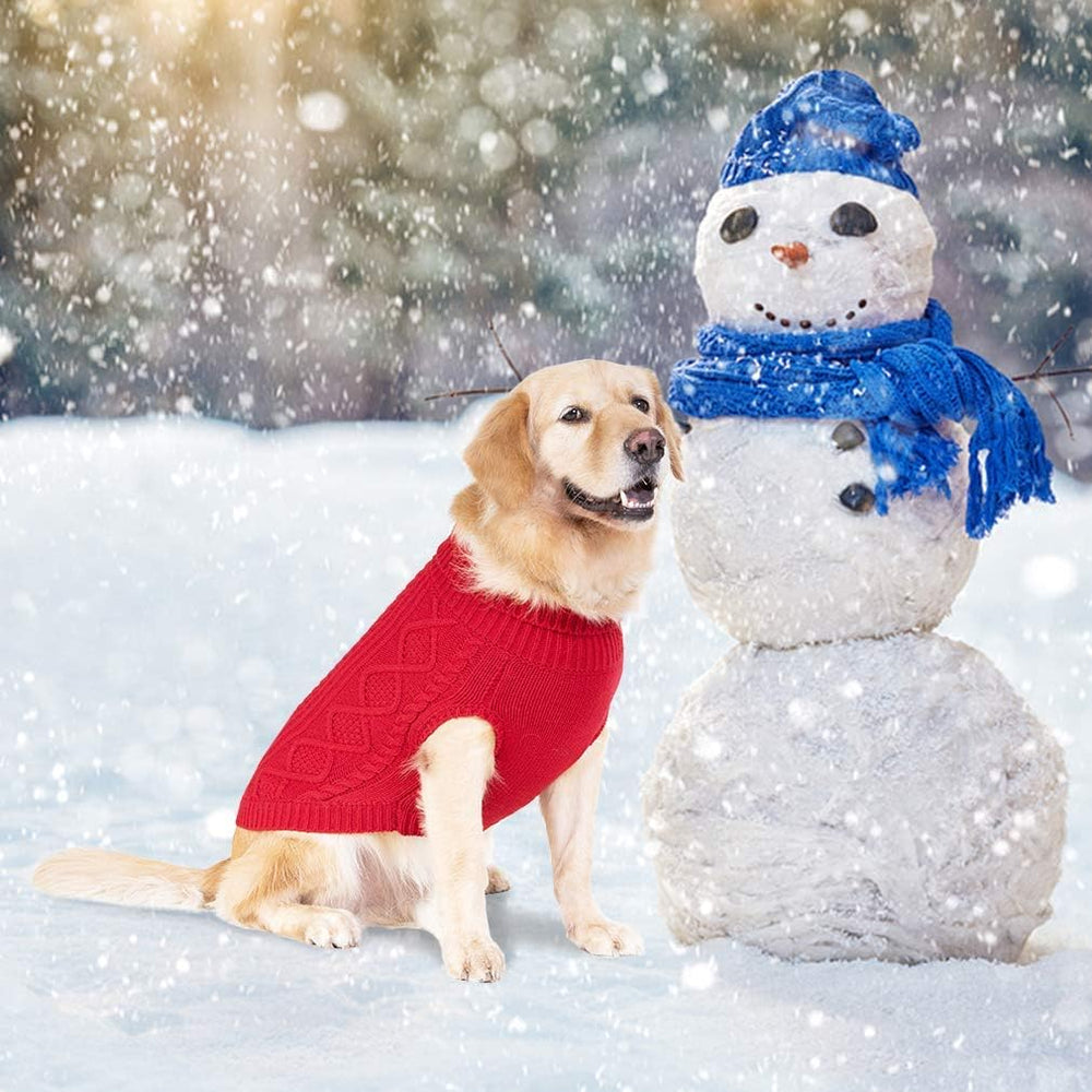 BINGPET dog-walking-sweater walking winter outdoors promotes warm relaxation and confident city walks.