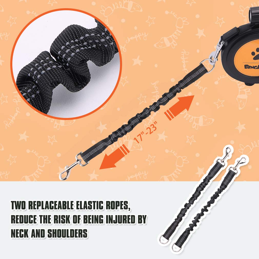 BINGPET leash with detachable LED flashlight improves dusk visibility during walks