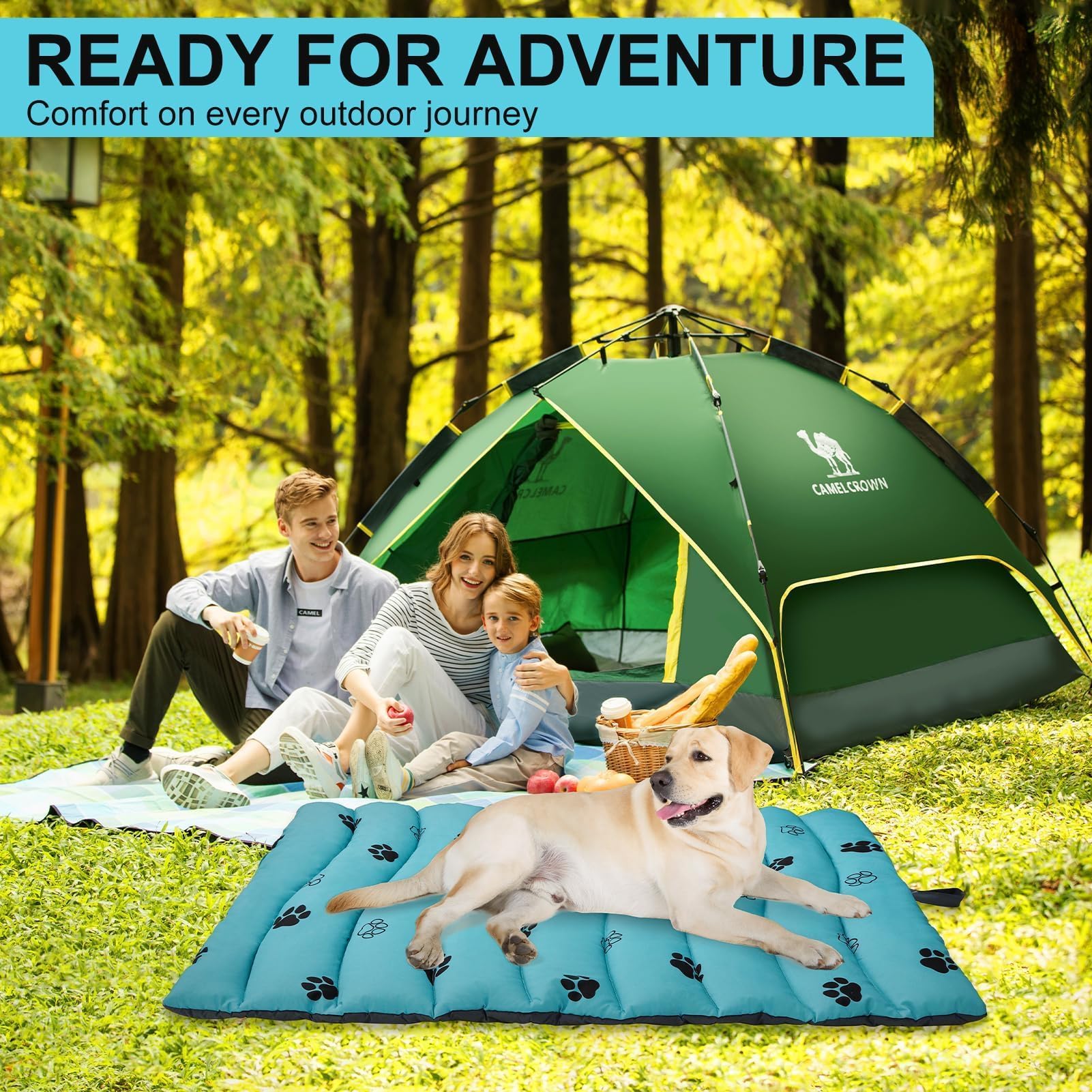 BINGPET easy-clean machine-washable dog bed for quick cleanup