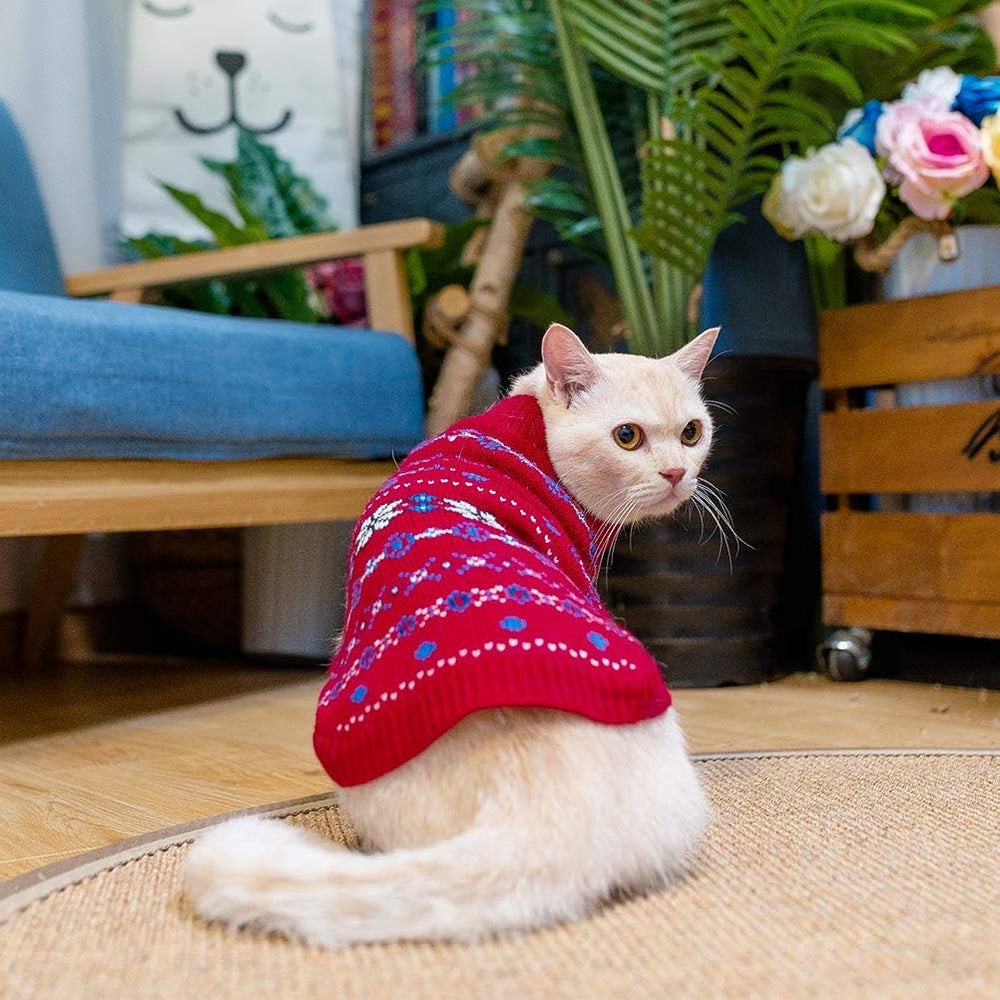 BINGPET elastic dressing-friendly fabric showing easy on/off feature