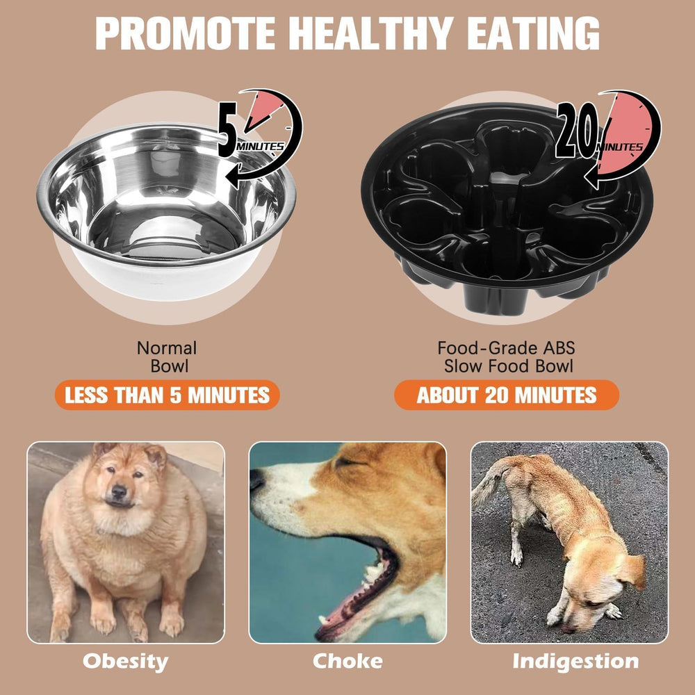 BINGPET elevated bowls easy-use design featuring foldable legs for travel