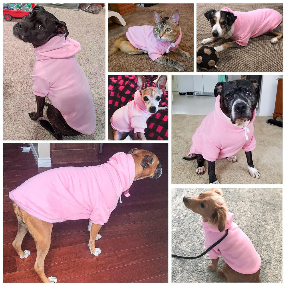BINGPET estilo práctico, mezcla de moda y confort en paseos.
