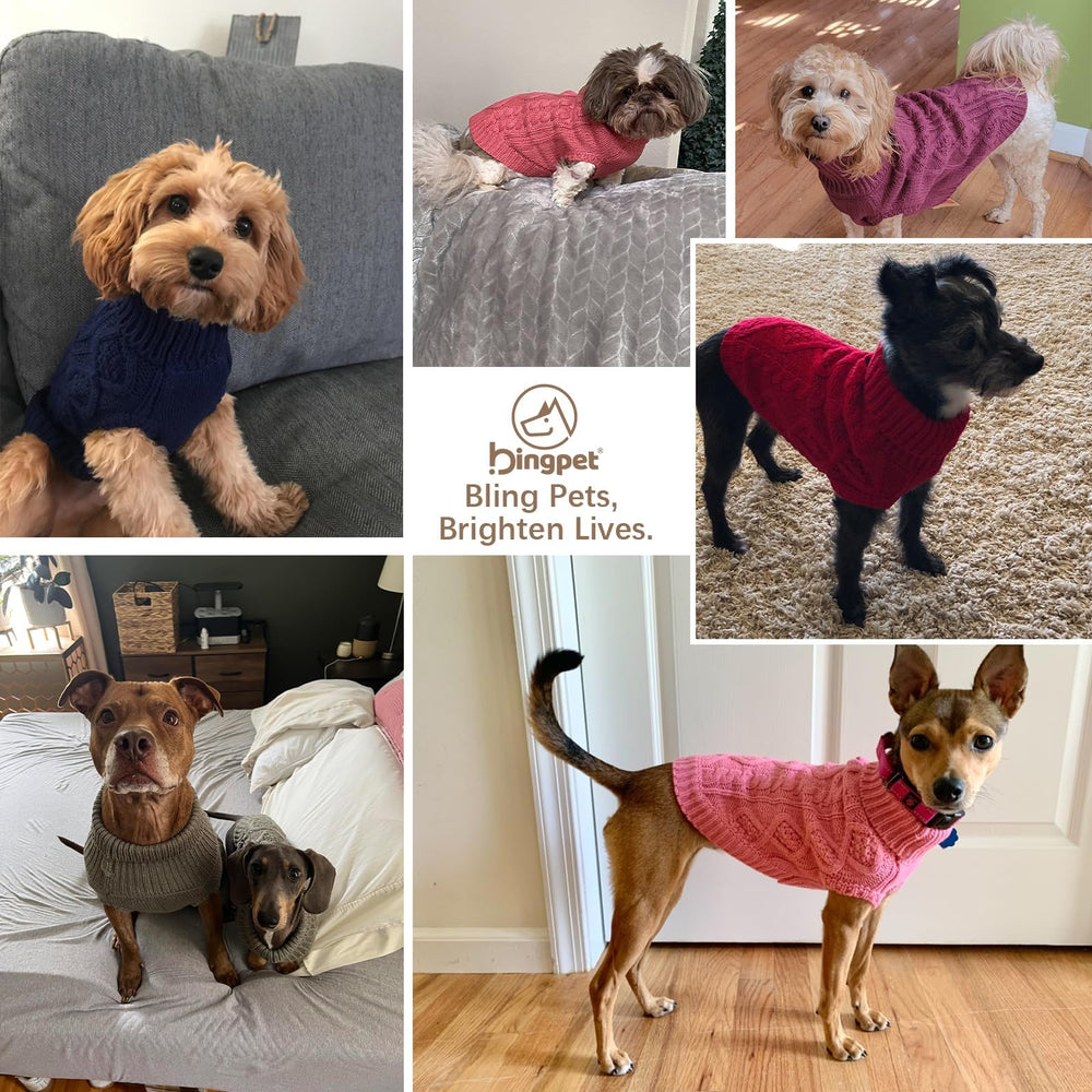BINGPET gingham patchwork knit adds fashion-forward flair for photoshoots and events.