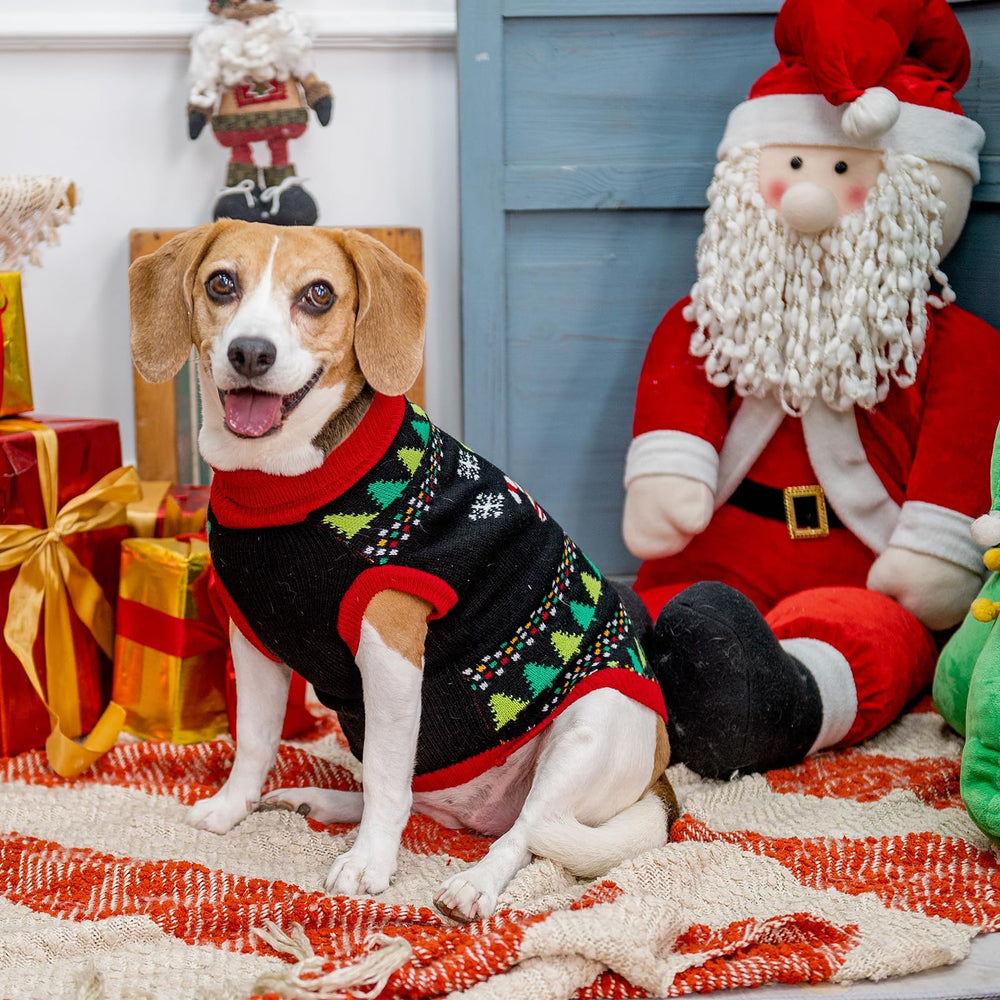 BINGPET Knit Puppy Sweater made from premium acrylic yarn for warmth and flexibility