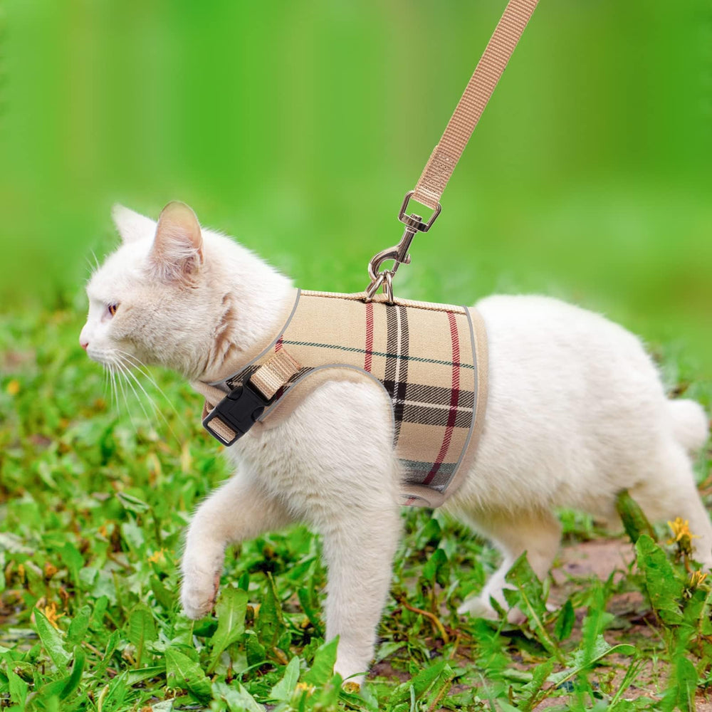 BINGPET leash 150cm pairs with harness for flexible outdoor control