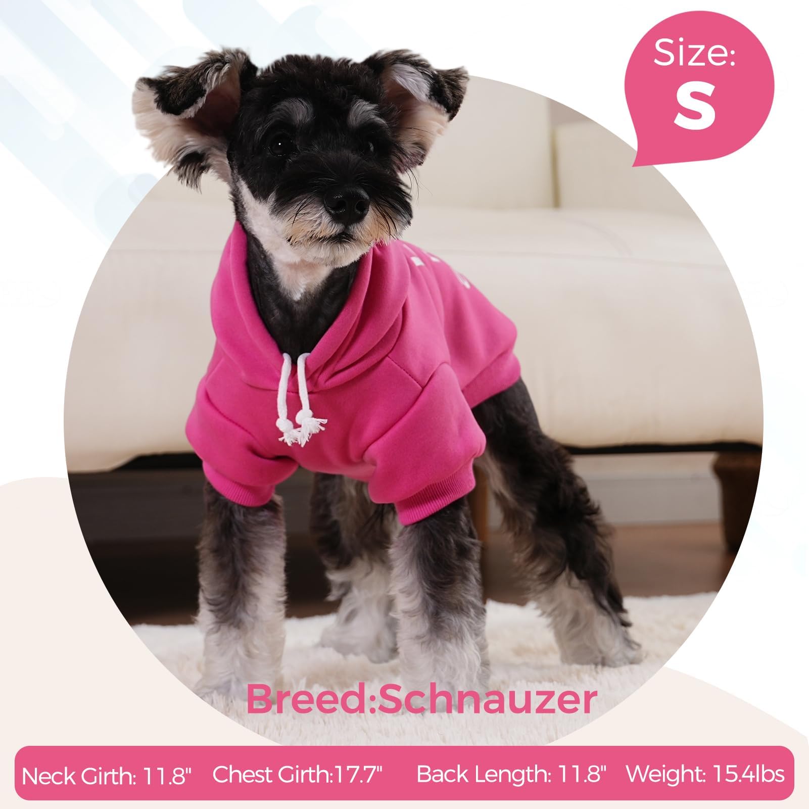 BINGPET Little Miss Attitude back-view shows leash hole for easy walks.