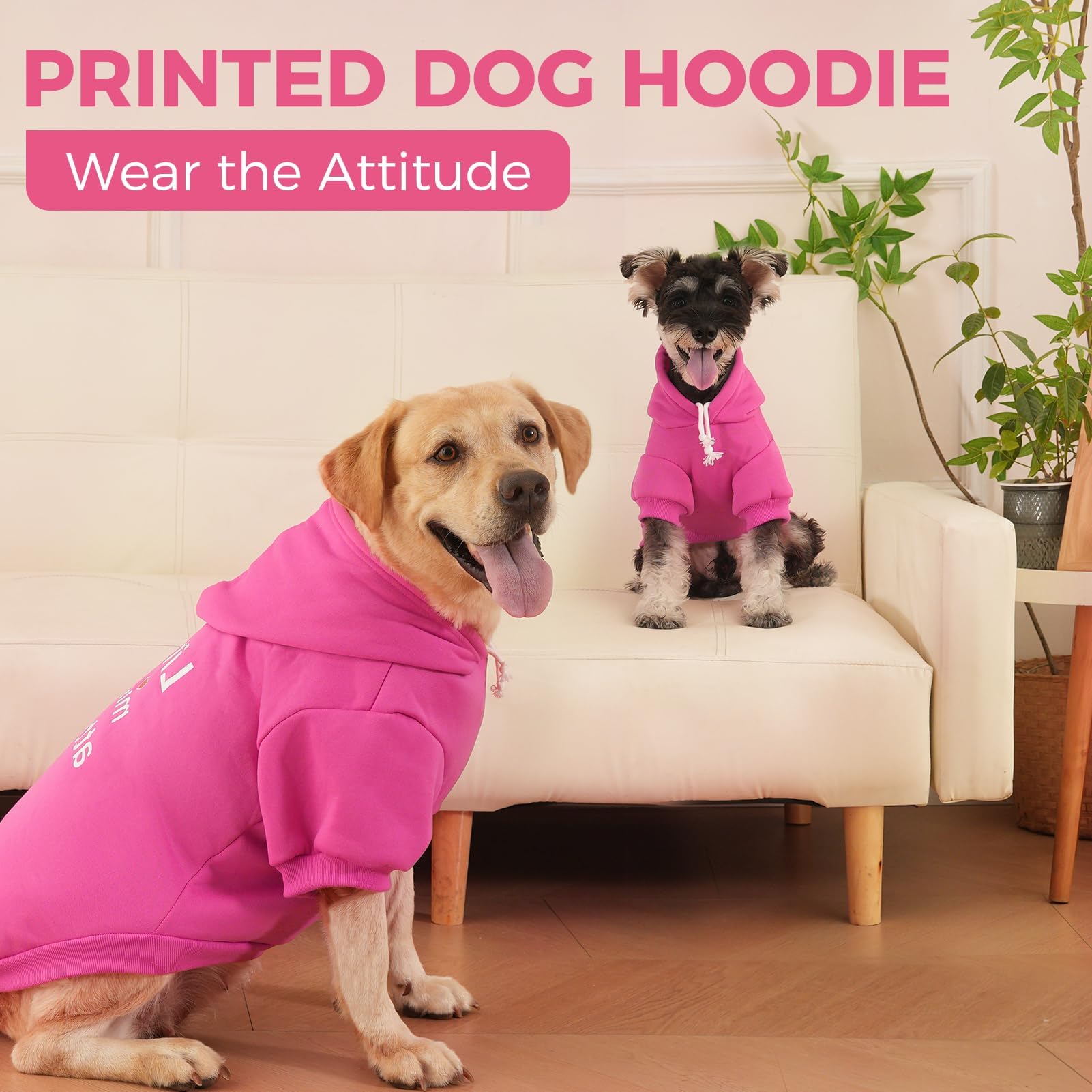 BINGPET Little Miss Attitude fleece-lined close-up highlights ultra-soft warmth.