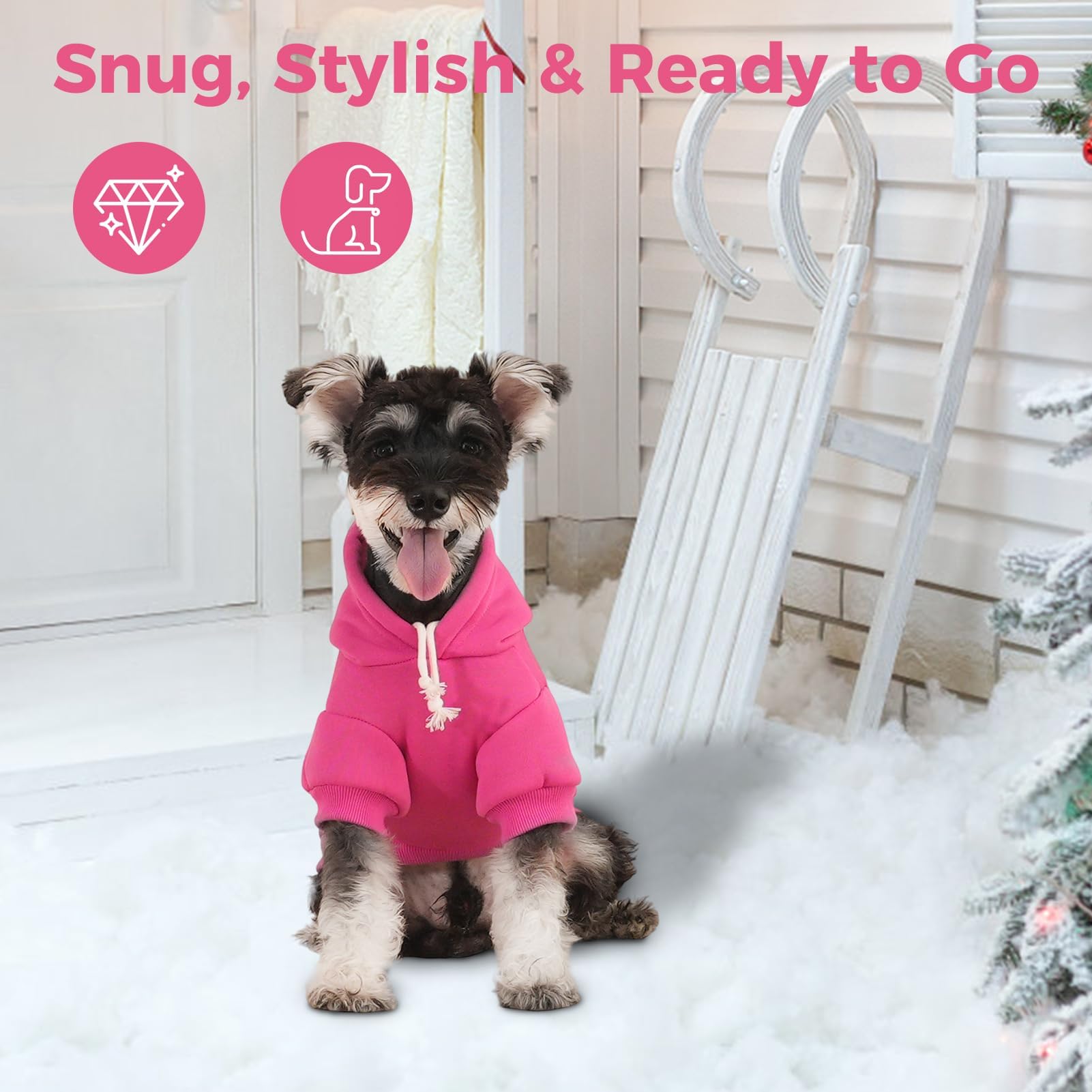 BINGPET Little Miss Attitude machine-washable care keeps cleaning simple after adventures.