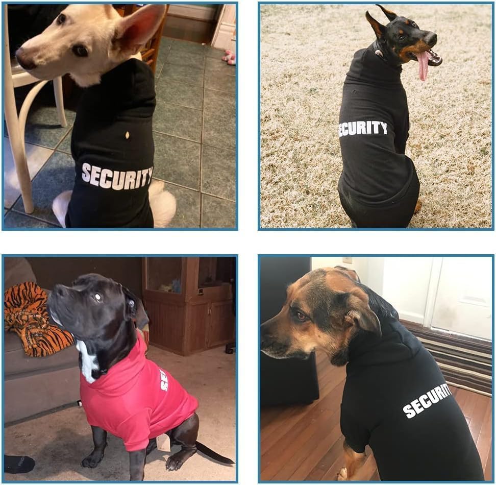 BINGPET machine-washable hoodie, easy care for busy owners.