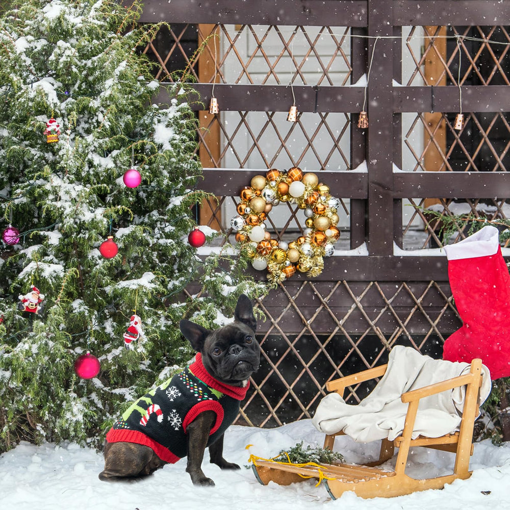 BINGPET machine-washable knit dog sweater simplifies cleaning after adventures.