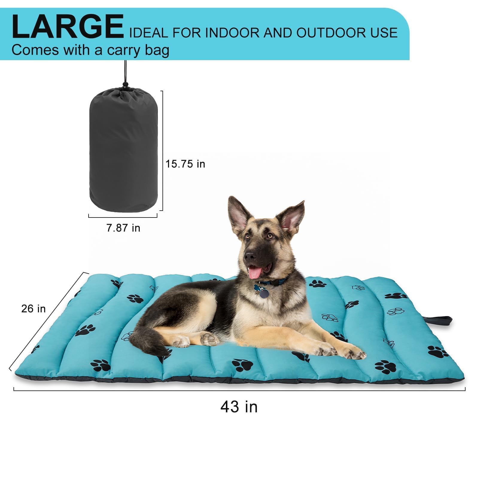 BINGPET reversible paw-print side adds playful style