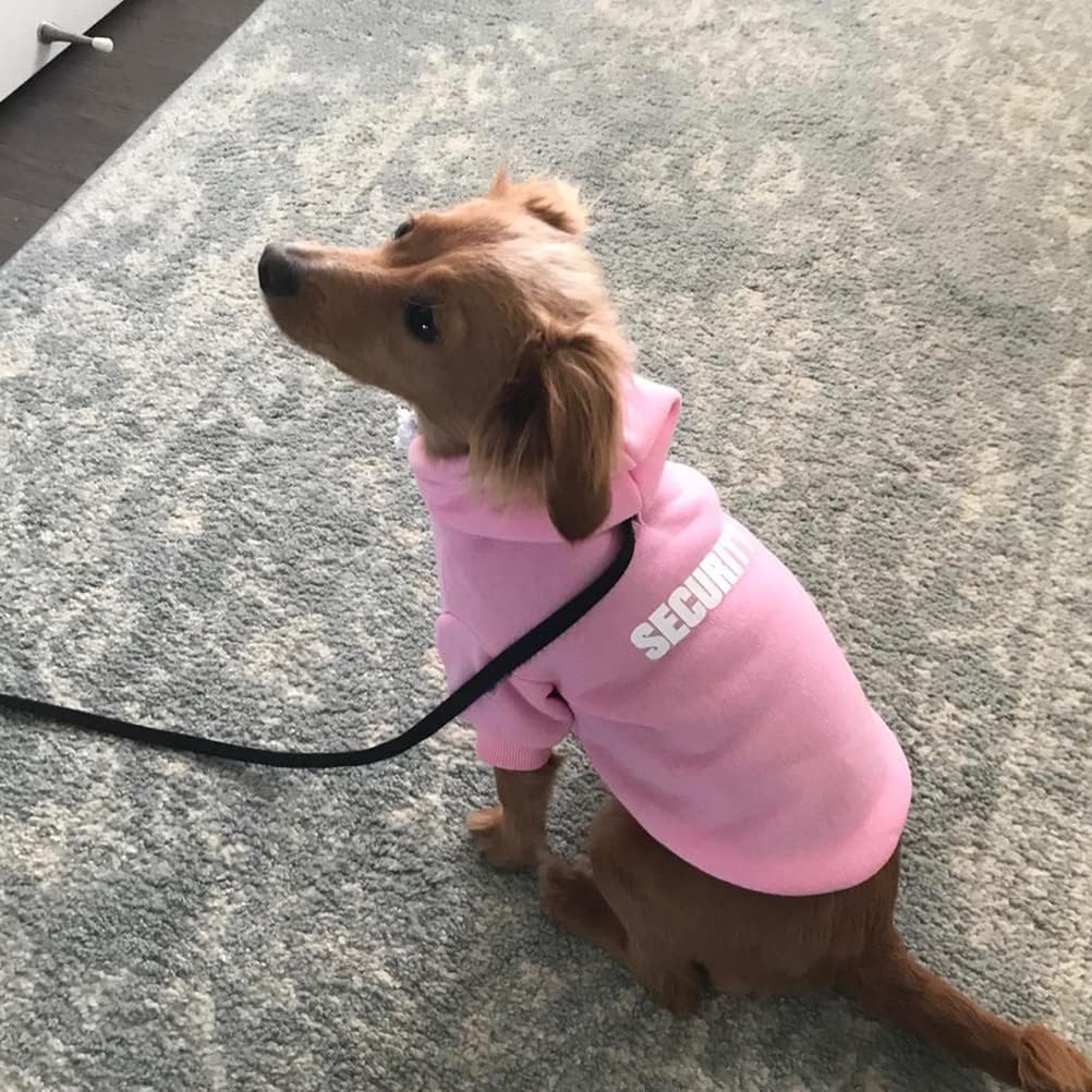 BINGPET Security Dog Hoodie durability close-up shows upgraded glue-pressed letters for lasting wear