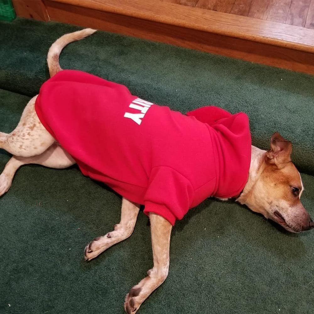 BINGPET security dog hoodie fleece close-up, soft warmth and texture.