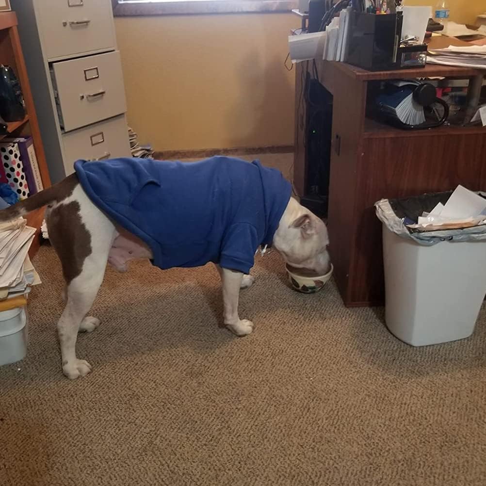 BINGPET security dog hoodie easy cleaning promotes quick after-walk upkeep.