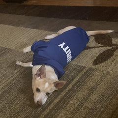 BINGPET Security Dog Hoodie letters durability shows long-lasting branding in daily wear.