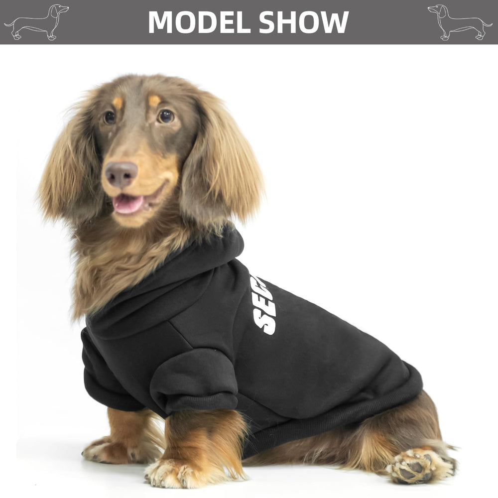 Bingpet security dog hoodie machine-washable for simple cleanup after adventures