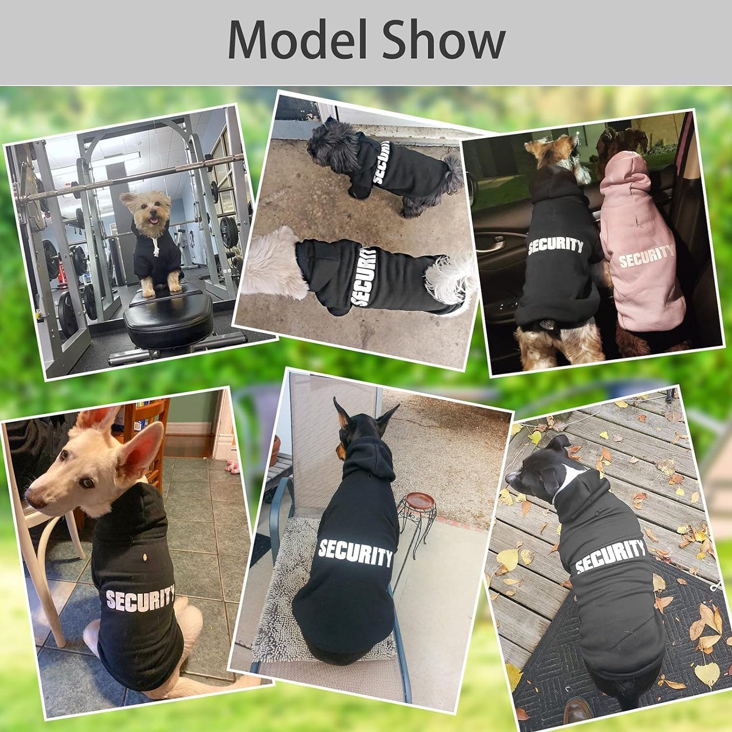 BINGPET security dog hoodie on pet for cozy outdoor wear